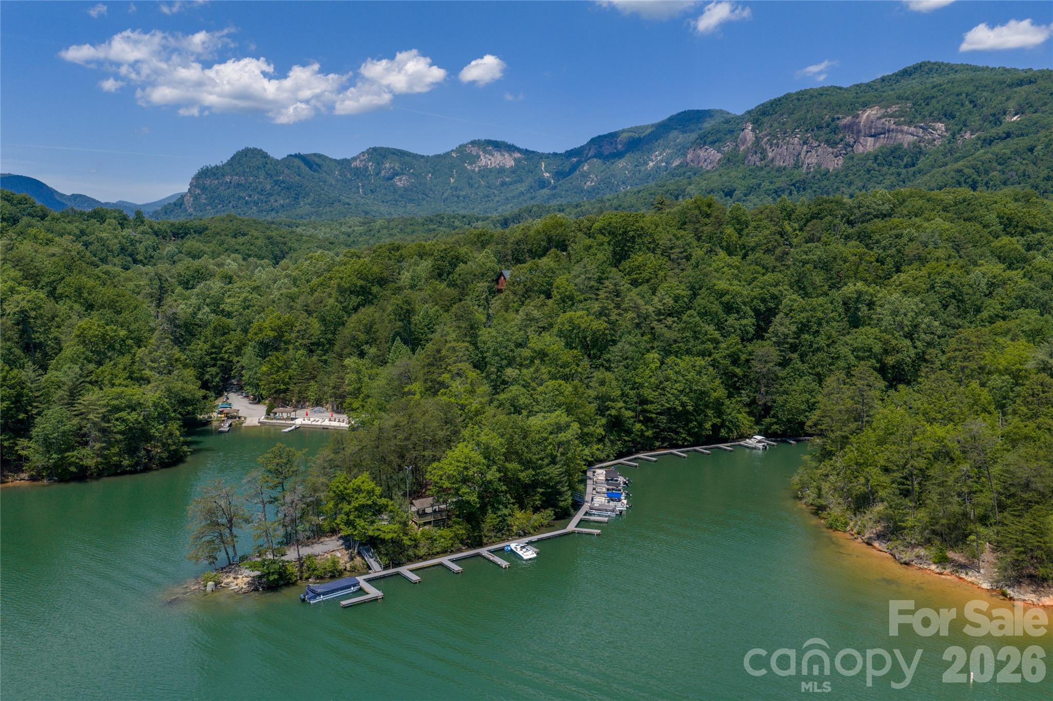 0 View Trail Lake Lure, NC 28746 - Photo 9 of 11 a view of a lake in middle of the town