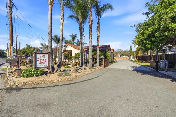 a view of a park with palm trees