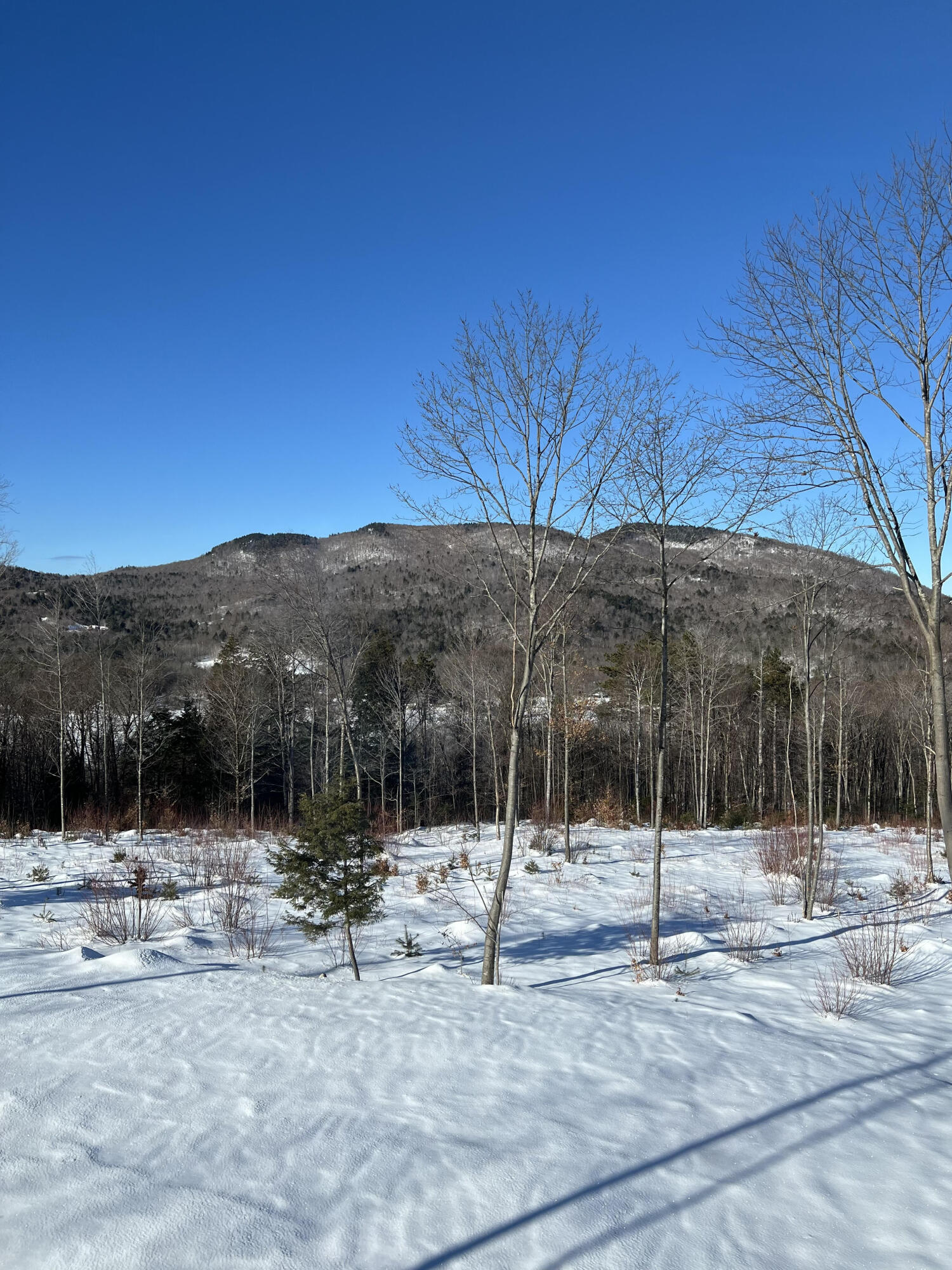 402 Rowe Hill Road Greenwood, ME 04255 - Photo 14 of 15 5