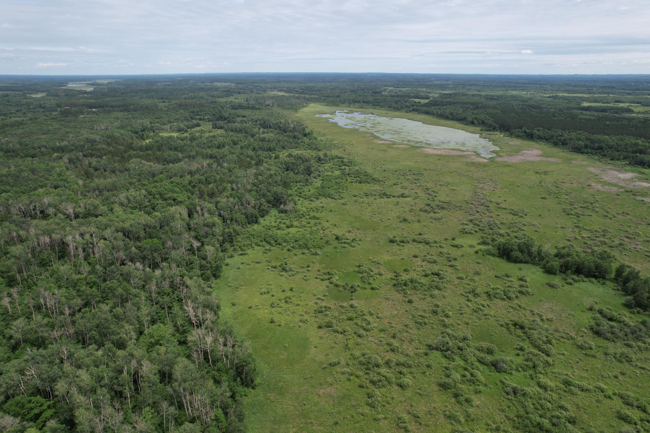 Tbd 350th Street Sebeka, MN 56477 - Photo 13 of 100