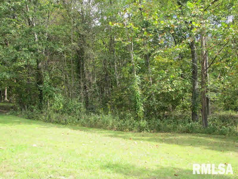 1815 Mountain Glen Road Cobden, IL 62920 - Photo 5 of 6 Gallery Image 5