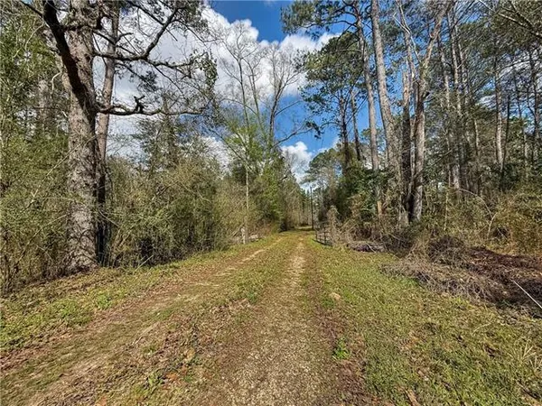 $398,500 | 66350 Highway 1058, Roseland, LA 70456
