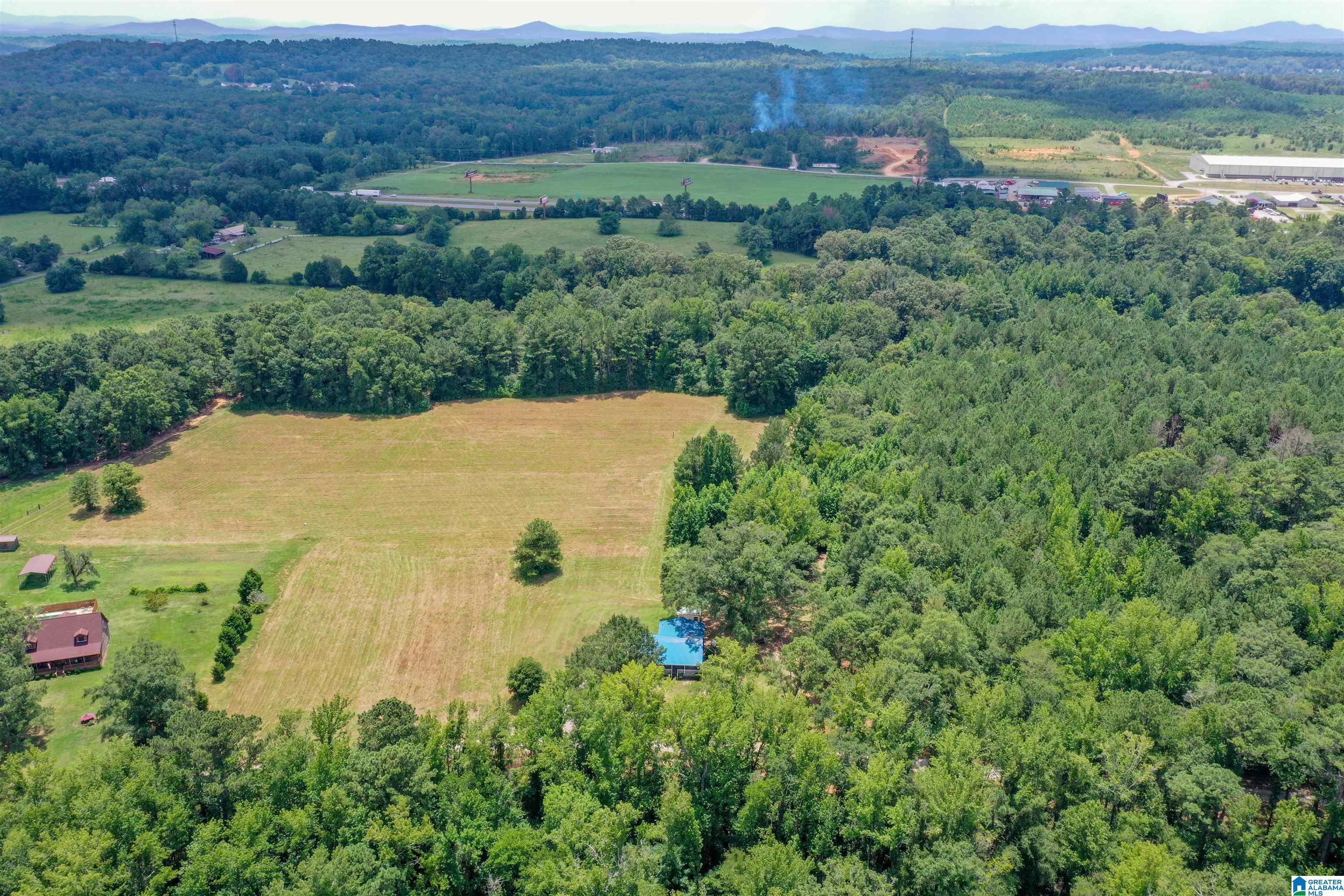 1675 Blue Eye Springs Road Lincoln, AL 35096 - Photo 50 of 60