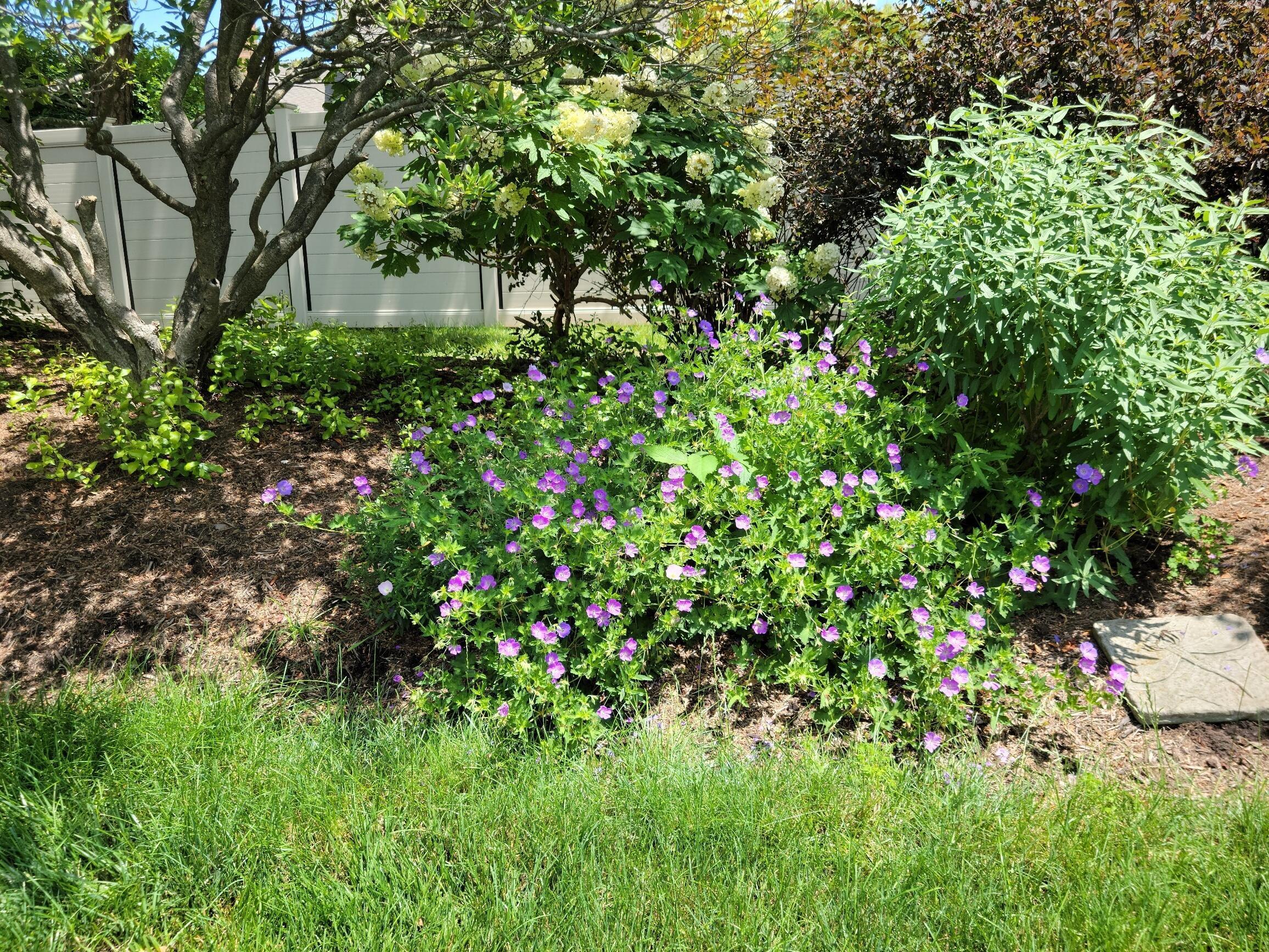 214 Cameron Ridge Drive Columbus, OH 43235 - Photo 50 of 54 Flowers....