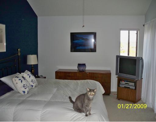 333 Ridge Road Jupiter, FL 33477 - Photo 8 of 16 Additional Photo