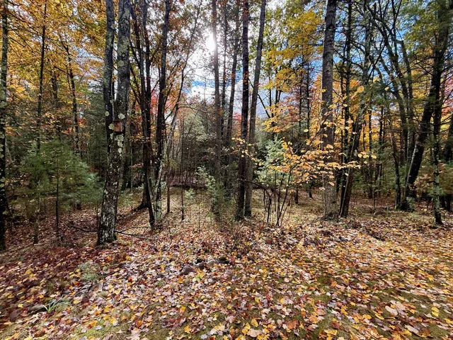 $469,900 | 3973 East Creek Wood Drive, Chase, MI 49623