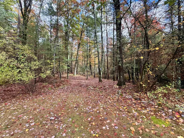 $469,900 | 3973 East Creek Wood Drive, Chase, MI 49623