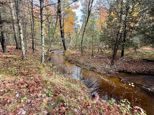 $469,900 | 3973 East Creek Wood Drive, Chase, MI 49623