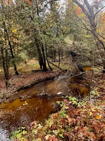 $469,900 | 3973 East Creek Wood Drive, Chase, MI 49623