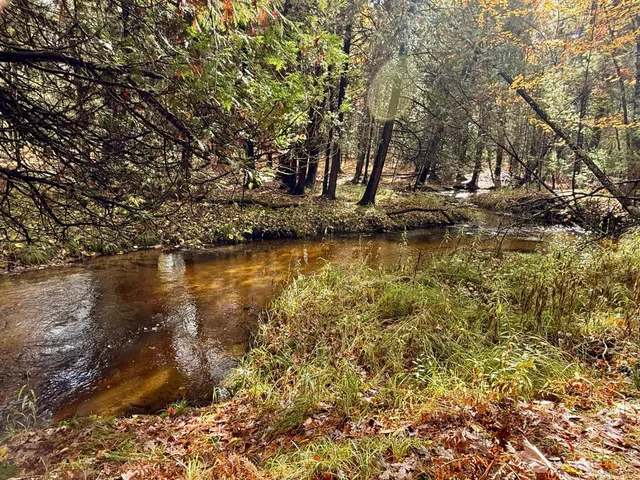 $469,900 | 3973 East Creek Wood Drive, Chase, MI 49623