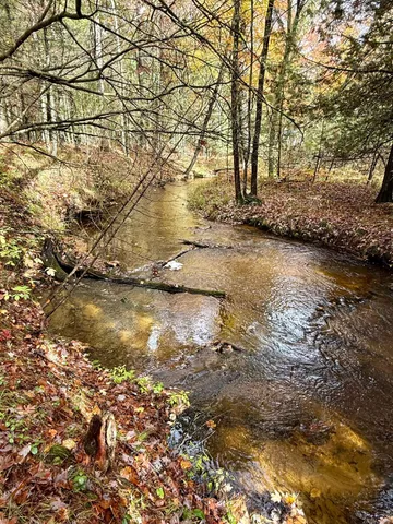 $469,900 | 3973 East Creek Wood Drive, Chase, MI 49623