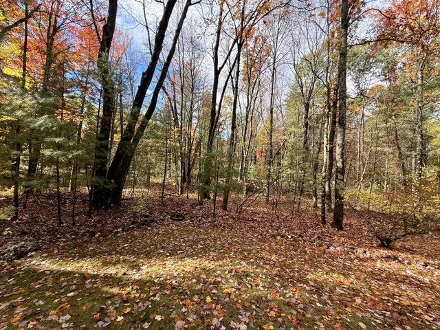 $469,900 | 3973 East Creek Wood Drive, Chase, MI 49623