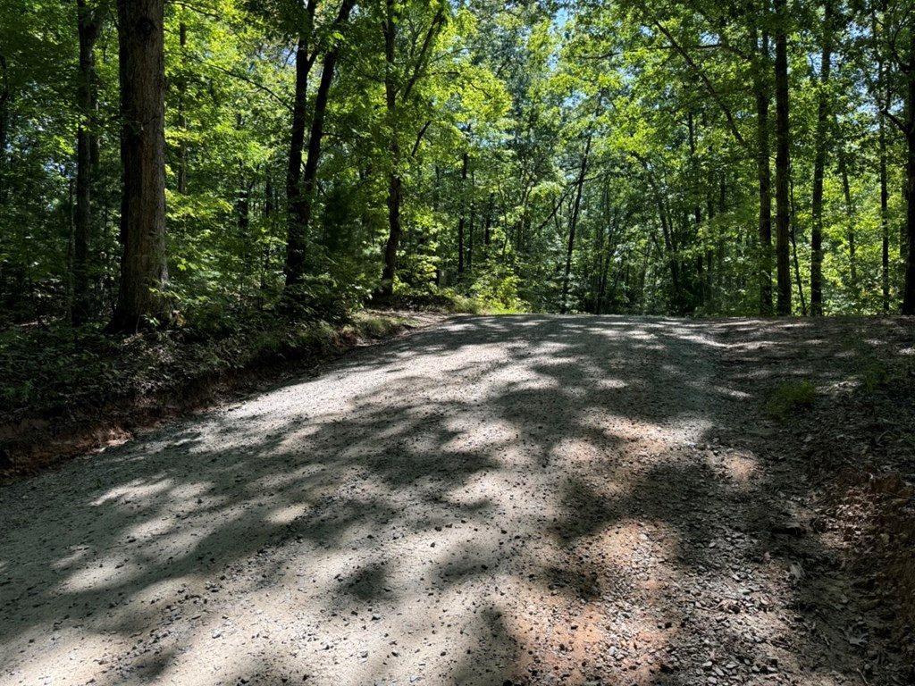 Lot 6-7 Donley Road Murphy, NC 28906 - Photo 4 of 14