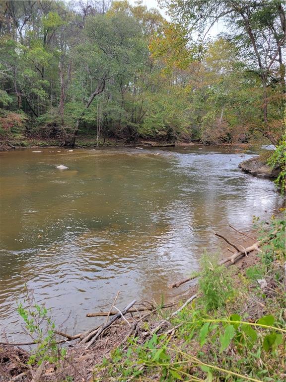 The Dan River on the Property