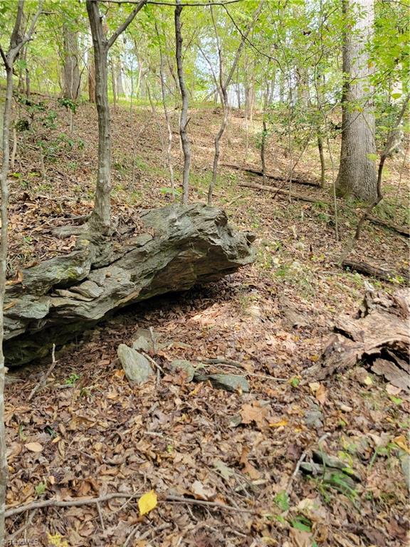 1849 Mission Extension Road Danbury, NC 27016 - Photo 12 of 22 Really nice Rock Outcrops in the woods