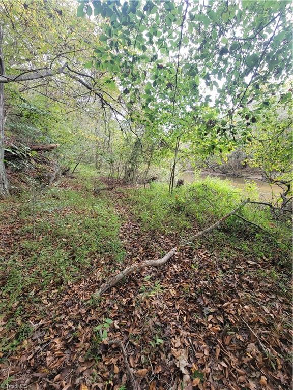1849 Mission Extension Road Danbury, NC 27016 - Photo 13 of 22 The Old Path along the Dan River