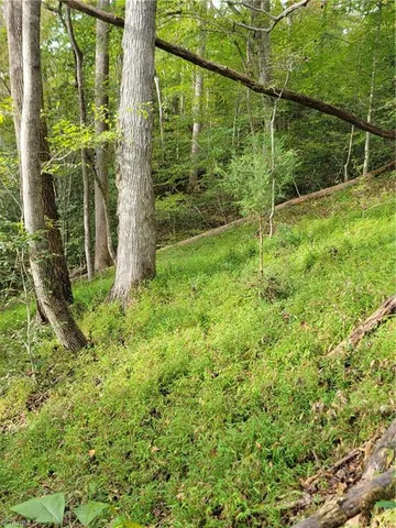 $165,000 | 1849 Mission Extension Road, Danbury, NC 27016