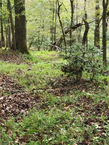 $165,000 | 1849 Mission Extension Road, Danbury, NC 27016