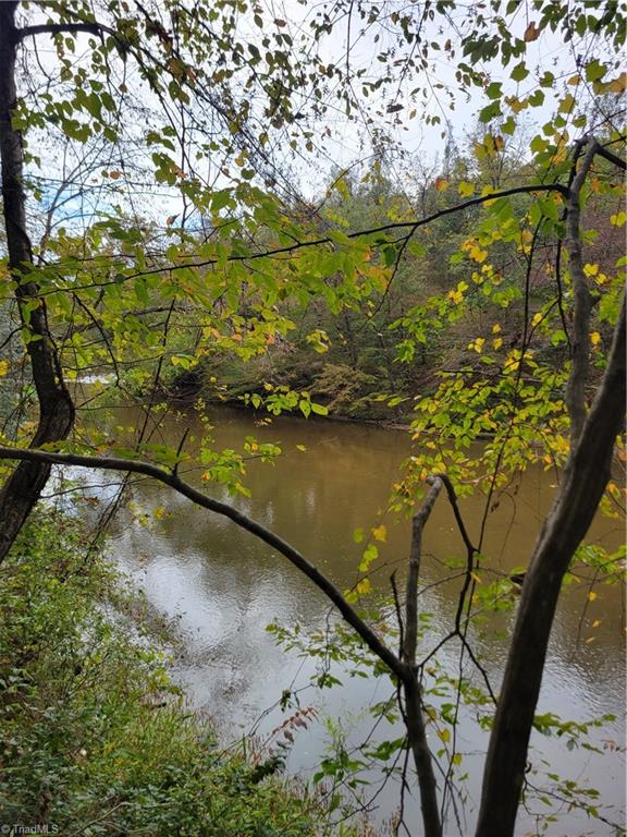 1849 Mission Extension Road Danbury, NC 27016 - Photo 2 of 22 A view from the Old Path along the Dan River
