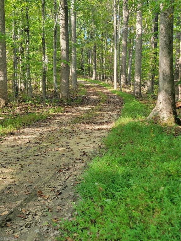 1849 Mission Extension Road Danbury, NC 27016 - Photo 3 of 22 Main Road at the Building Site