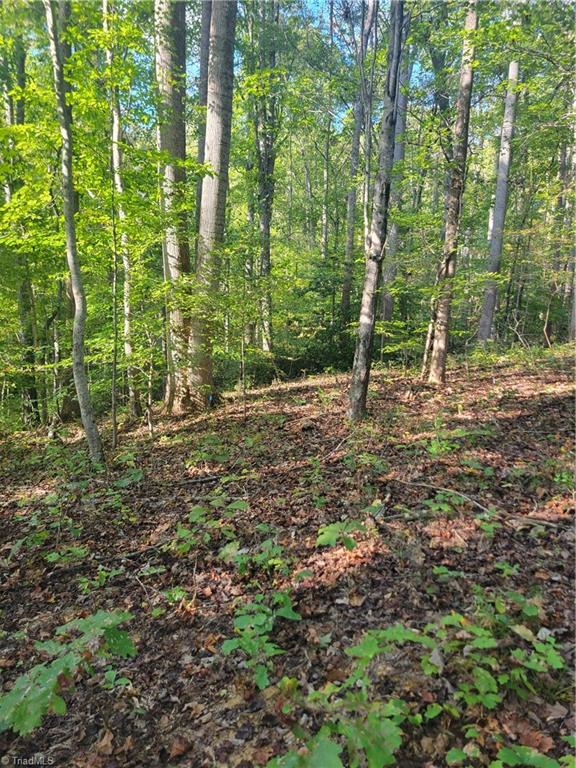1849 Mission Extension Road Danbury, NC 27016 - Photo 4 of 22 Building Site with Septic Permit