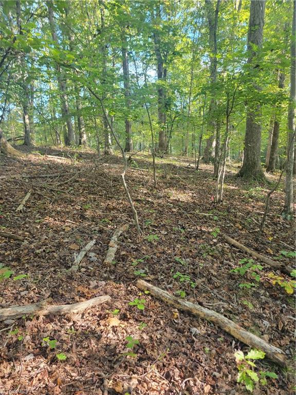 1849 Mission Extension Road Danbury, NC 27016 - Photo 5 of 22 Building Site with Septic Permit