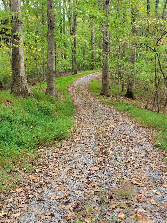 1849 Mission Extension Road Danbury, NC 27016 - Photo 6 of 22 The Main Road through the propert