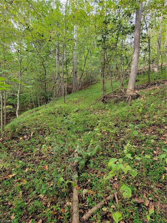 1849 Mission Extension Road Danbury, NC 27016 - Photo 7 of 22 The Woods Road going down to the Dan River