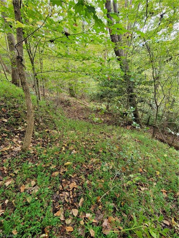 1849 Mission Extension Road Danbury, NC 27016 - Photo 8 of 22 The Woods road going down to the Dan River