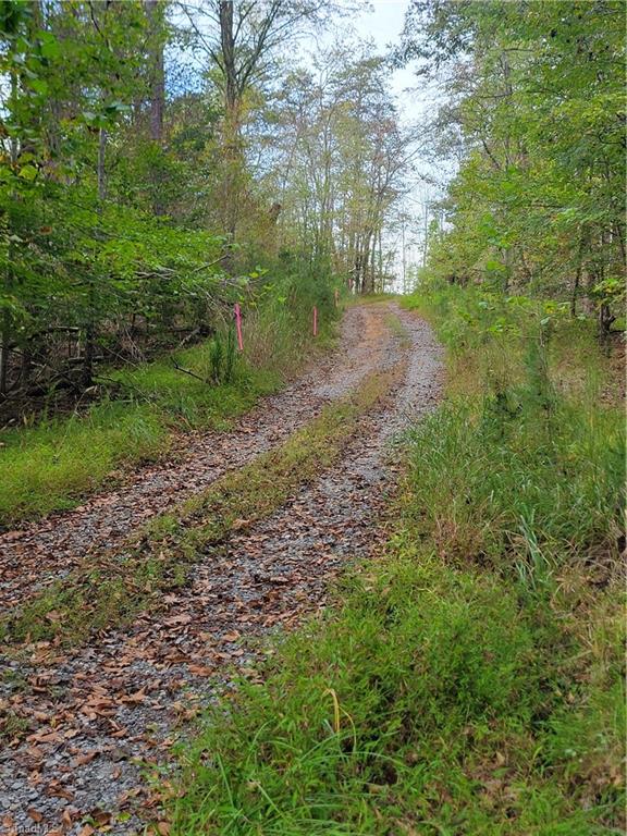 1849 Mission Extension Road Danbury, NC 27016 - Photo 9 of 22 The Lower Road Known as the Utility Easement Property runs along the road See the Pink Flagging