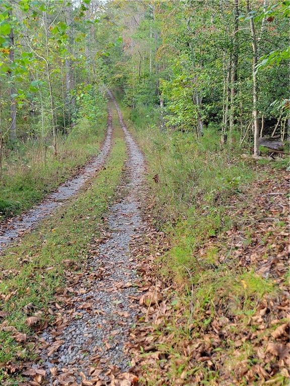 1849 Mission Extension Road Danbury, NC 27016 - Photo 10 of 22 The Lower Road known as the Utility Easement