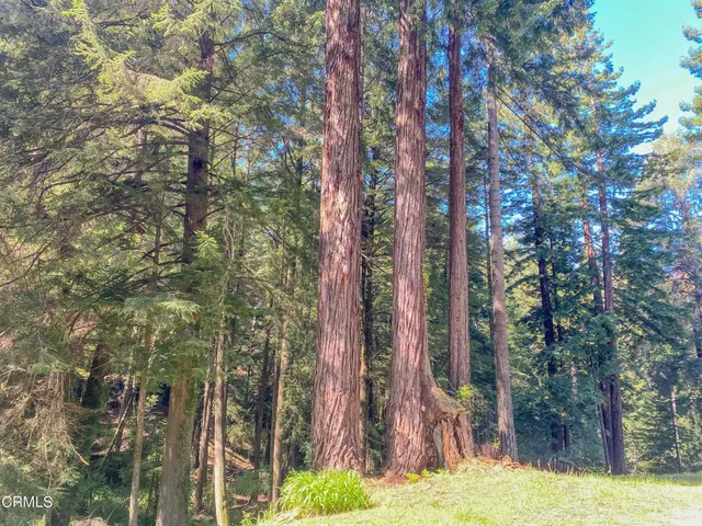 $649,000 | 15137 Mitchell Creek Drive, Fort Bragg, CA 95437