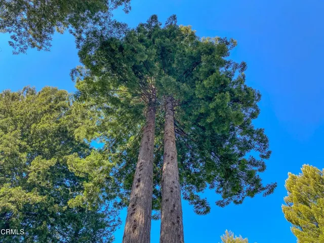 $649,000 | 15137 Mitchell Creek Drive, Fort Bragg, CA 95437