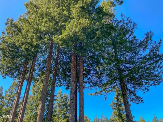 $649,000 | 15137 Mitchell Creek Drive, Fort Bragg, CA 95437