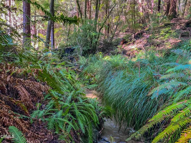 $649,000 | 15137 Mitchell Creek Drive, Fort Bragg, CA 95437