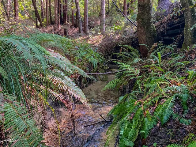 $649,000 | 15137 Mitchell Creek Drive, Fort Bragg, CA 95437