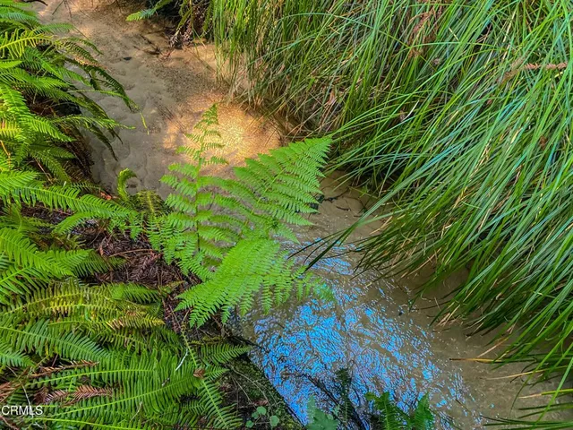 $649,000 | 15137 Mitchell Creek Drive, Fort Bragg, CA 95437