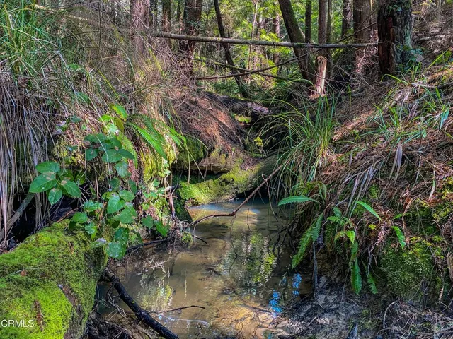 $649,000 | 15137 Mitchell Creek Drive, Fort Bragg, CA 95437