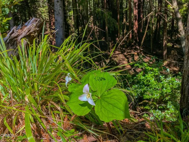 $649,000 | 15137 Mitchell Creek Drive, Fort Bragg, CA 95437