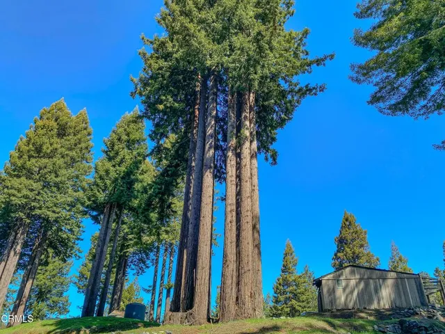 $649,000 | 15137 Mitchell Creek Drive, Fort Bragg, CA 95437