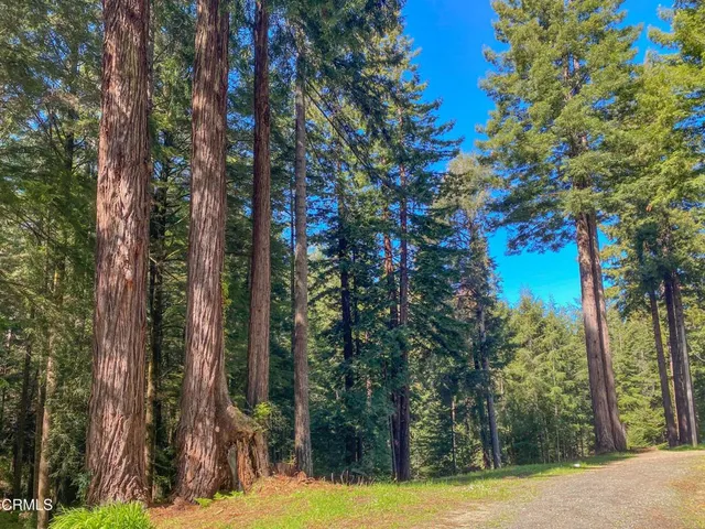 $649,000 | 15137 Mitchell Creek Drive, Fort Bragg, CA 95437