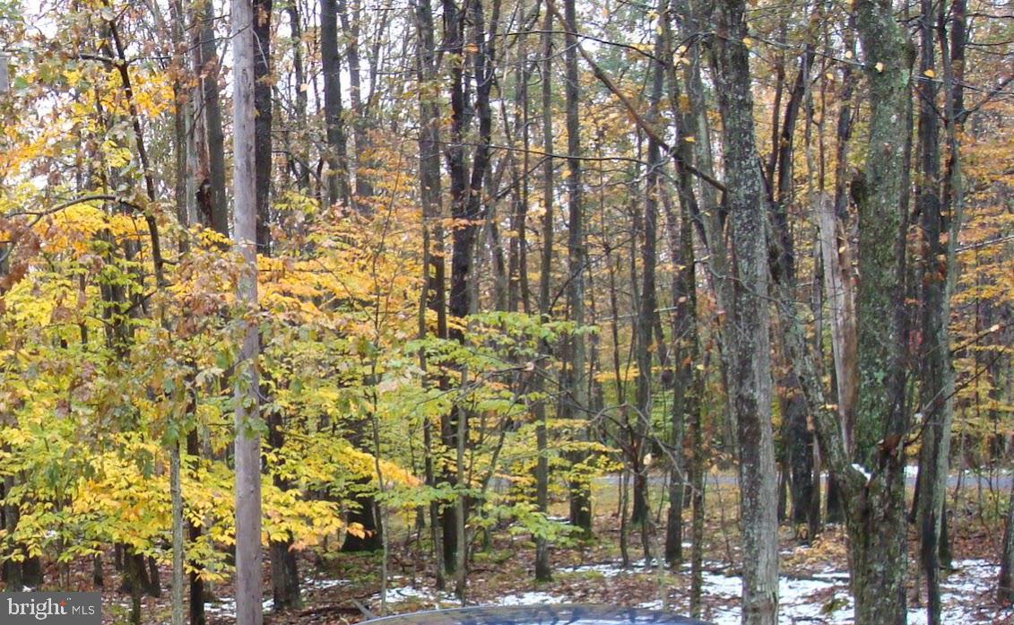 604-605 Wagner Way Pocono Lake, PA 18347 - Photo 1 of 4 Gallery Image 1