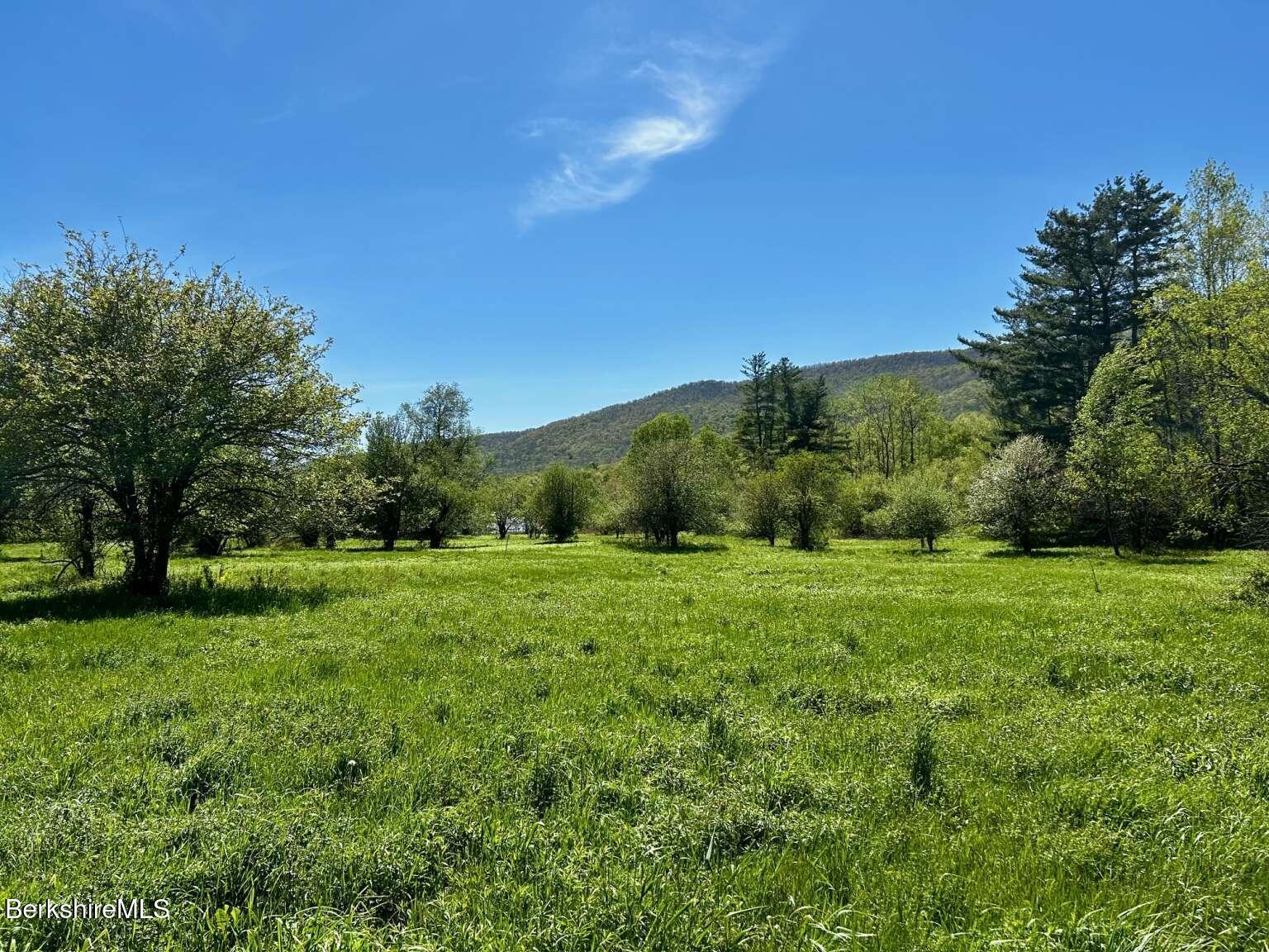 0 Hancock Road Williamstown, MA 01267 - Photo 5 of 8 a view of grassy field with trees in the background