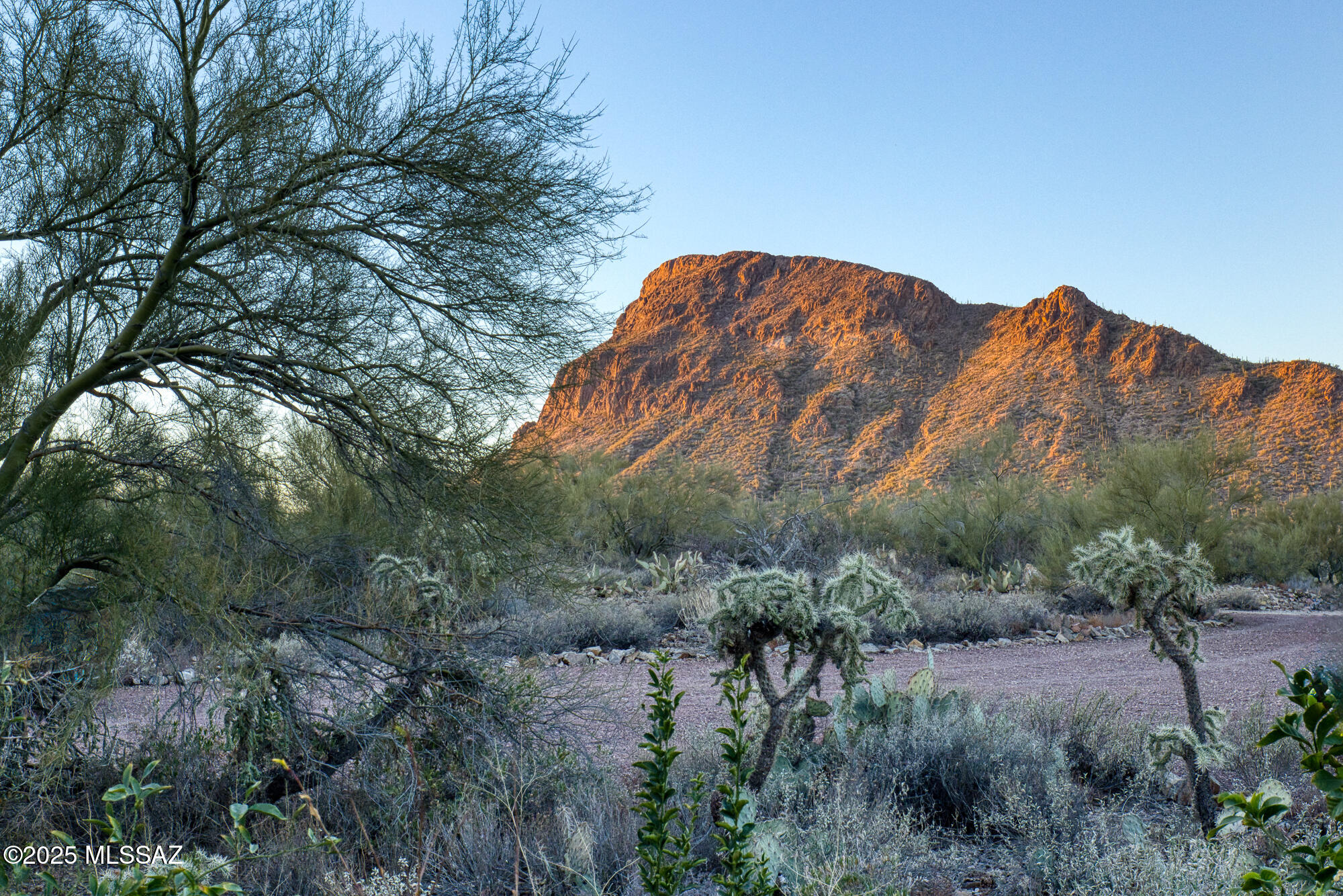 4350 South Century Road Tucson, AZ 85746 - Photo 36 of 47 front yard views