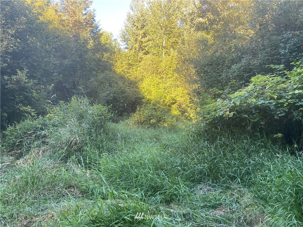 100 Smokey Valley Road Toledo, WA 98591 - Photo 1 of 22