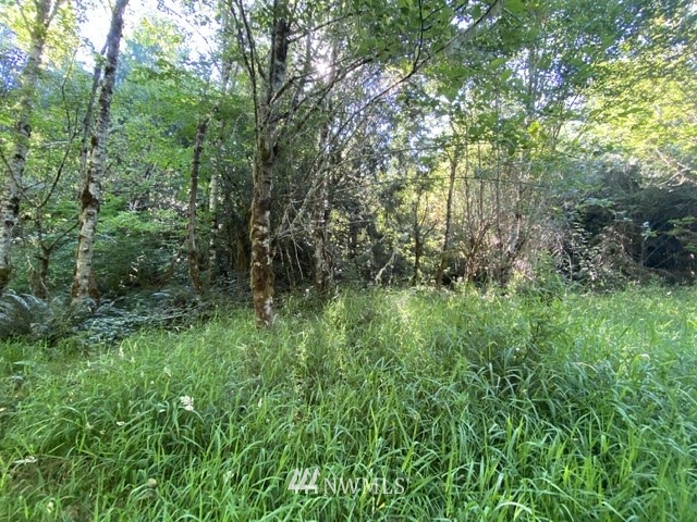 100 Smokey Valley Road Toledo, WA 98591 - Photo 2 of 22