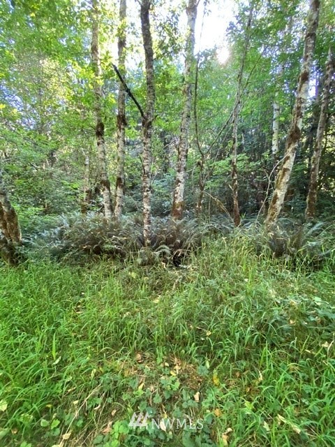 100 Smokey Valley Road Toledo, WA 98591 - Photo 12 of 22