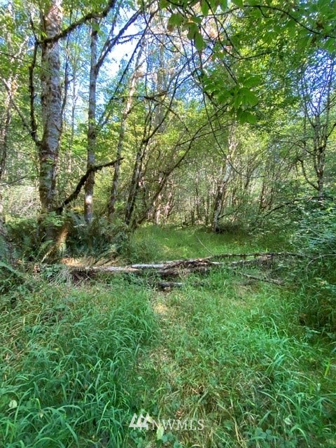 100 Smokey Valley Road Toledo, WA 98591 - Photo 13 of 22