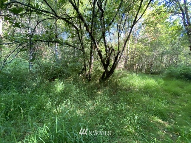 100 Smokey Valley Road Toledo, WA 98591 - Photo 14 of 22