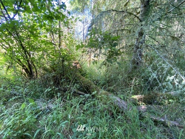 100 Smokey Valley Road Toledo, WA 98591 - Photo 15 of 22